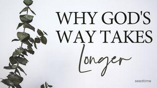 Why God's Way Takes Longer SALMOS 92:14-15 La Biblia Hispanoamericana (Traducción Interconfesional, versión hispanoamericana)