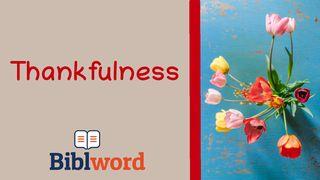 Thankfulness Acts 14:12 English Standard Version 2016
