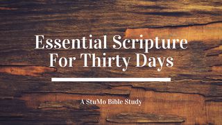 Essential Scripture For 30 Days Matthew 24:34 Good News Translation (US Version)
