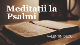 Meditații La Psalmi Psalmii 139:14 Noua Traducere Românească