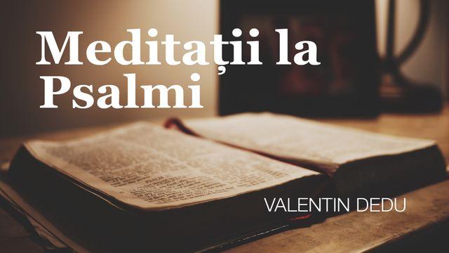 Meditații La Psalmi