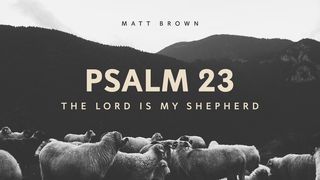 Psalm 23: The Lord Is My Shepherd John 10:11-13 The Message