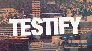 Testify Exodus 19:5-6 New International Version