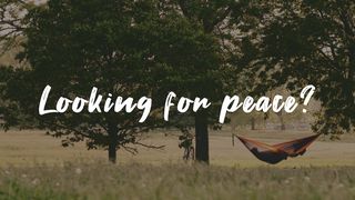 Looking for Peace?  Acts of the Apostles 1:12 New Living Translation