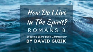 How Do I Live in the Spirit?: Bible Commentary on Romans 8 Isaiah 11:9 Good News Bible (British Version) 2017