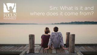 Sin: What Is It And Where Does It Come From? James 1:15 Amplified Bible