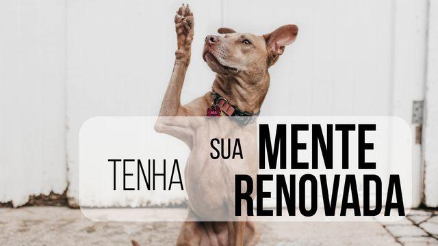 Tenha a Sua Mente Renovada