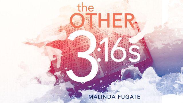 The Other Three Sixteens: Finding God's Love in Scripture