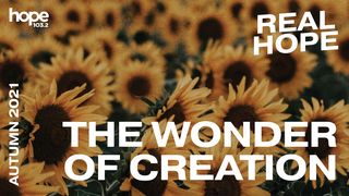 Real Hope: The Wonder of Creation Psalms 8:3-4 The Message