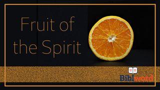 Fruit of the Spirit 2 Corinthians 1:21 Amplified Bible