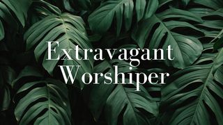 Extravagant Worshiper Isaiah 6:2 New Living Translation