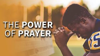 The Power of Prayer Matthew 21:22 Contemporary English Version