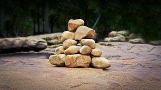 Living Stones:  Lead, Care and Serve Like Jesus Mark 6:50 New Century Version