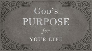 5 Days From God's Purpose for Your Life by Dr. Stanley Psalms 27:11 Contemporary English Version (Anglicised) 2012