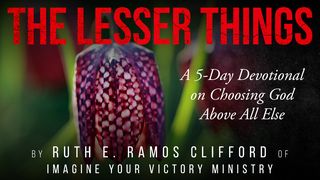 The Lesser Things Psalms 63:2-4 The Message