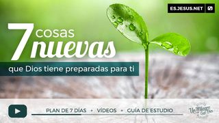 7 Cosas Nuevas Que Dios Tiene Preparadas Para Ti Hebreos 10:21 Nueva Versión Internacional - Español