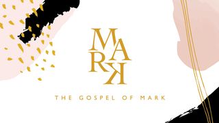 O Evangelho de Marcos Marcos 6:4 Almeida Revista e Corrigida