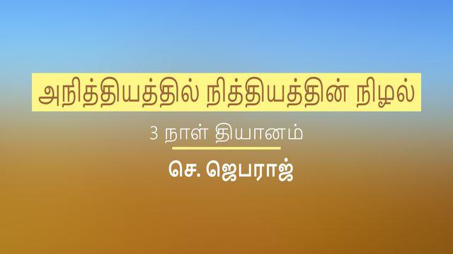 அநித்தியத்தில் நித்தியத்தின் நிழல்