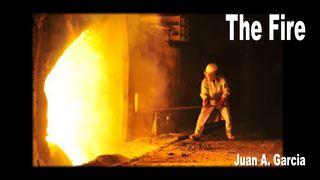 The Fire Daniel 3:16-18 Amplified Bible, Classic Edition