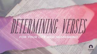 [Great Verses] Determining verses for your life and humankind Genesis 15:1-19 New International Version