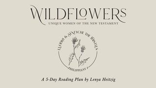 Wildflowers: Week Two | Euodia & Syntyche the Thistles Gálatas 5:26 Traducción en Lenguaje Actual
