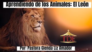 Aprendiendo De Los Animales: El León Jueces 6:15 Nueva Traducción Viviente