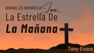 Orando Los Nombres De Jesús: La Estrella De La Mañana 1 Juan 1:8 Nueva Traducción Viviente