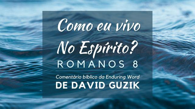 Como Eu Vivo No Espírito?: Comentário Bíblico De Romanos 8