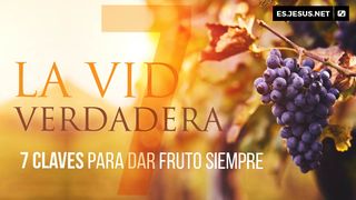 La Vid Verdadera. 7 Claves Para Dar Fruto Siempre. JUAN 15:1 Dios Habla Hoy Con Deuterocanónicos Versión Española