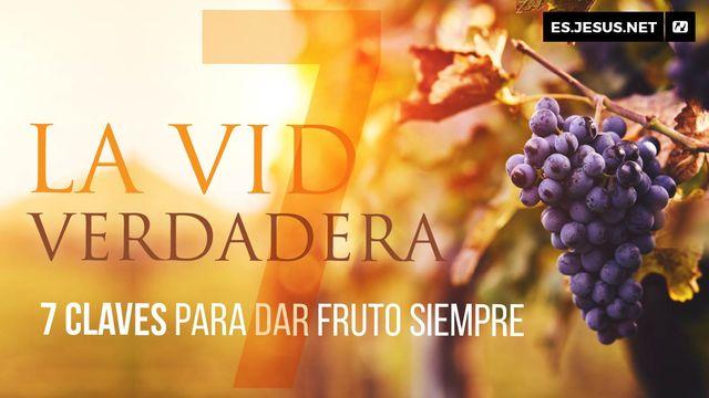 La Vid Verdadera. 7 Claves Para Dar Fruto Siempre