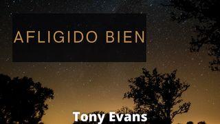 Afligido Bien Proverbios 16:9 Nueva Traducción Viviente