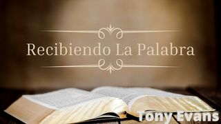 Recibiendo La Palabra Mateo 4:7 Nueva Versión Internacional - Español