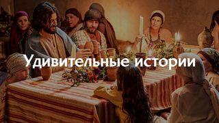 Удивительные истории От Иоанна 3:20 Новый русский перевод