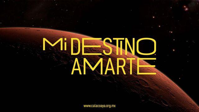 Mi Destino Amarte