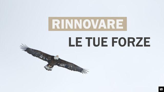 Rinnovare Le Tue Forze