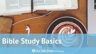 Our Daily Bread University - Bible Study Basics Hebrews 5:12 New Century Version