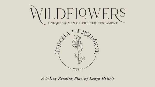 Wildflowers Week Four | Priscilla the Hollyhock 