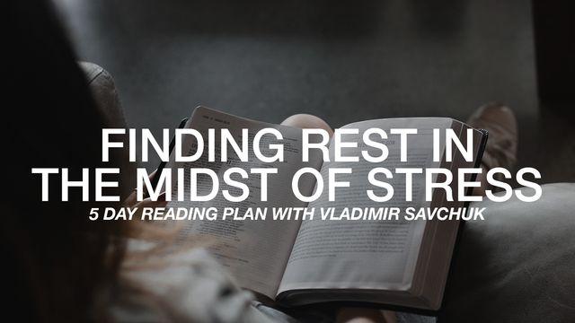 Finding Rest in the Midst of Stress