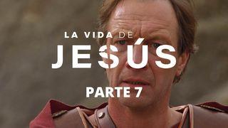 La Vida De Jesús. Parte 7 (7/7) Juan 19:33-34 Nueva Traducción Viviente