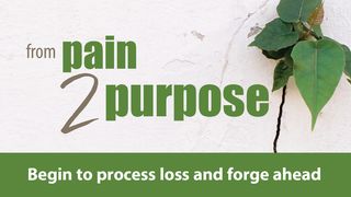 From Pain 2 Purpose: Begin to Process Loss and Forge Ahead Psalms 56:8-9 The Message