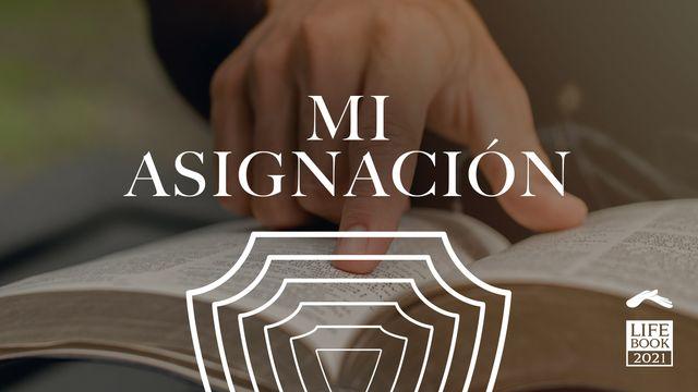 Mi Asignación