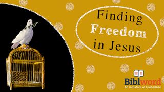 Finding Freedom in Jesus Isaiah 54:7 New King James Version