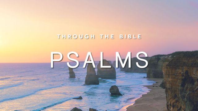 Through the Bible: Psalms