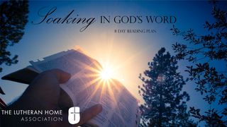 Soaking in God’s Word Romans 16:25 New Living Translation