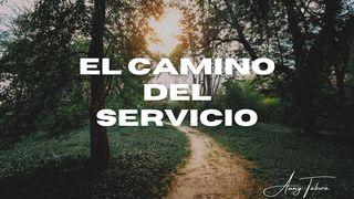 El Camino Del Servicio  Romanos 12:11 Biblia Dios Habla Hoy