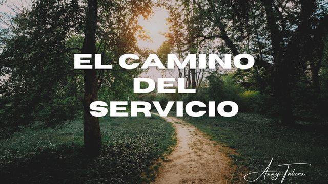El Camino Del Servicio 