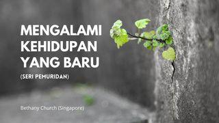 Mengalami Kehidupan Yang Baru Yohanes 3:5 Alkitab dalam Bahasa Indonesia Masa Kini