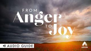 From Anger to Joy Ephesians 4:3 Amplified Bible