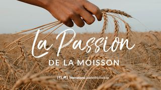 La Passion De La Moisson Matthieu 25:34-40 Parole de Vie 2017