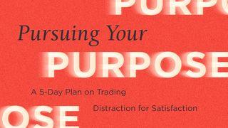 Pursuing Your Purpose Philippians 1:1-8 The Message